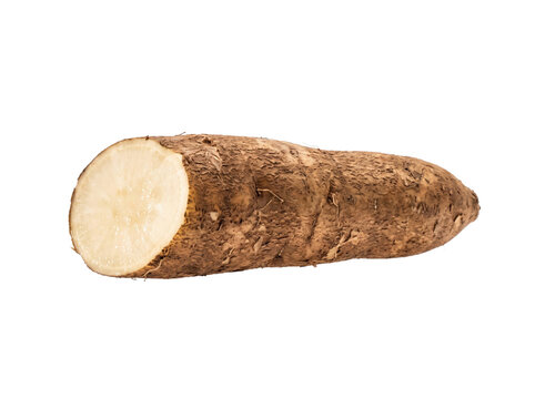 Fresh Cut Cassava Root Isolated