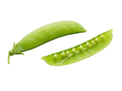Fresh Green Snap Peas Isolated