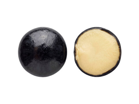 Black Entada Phaseoloides Seed Pair