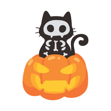 Charming black skeleton cat character emerging from a spooky carved Halloween pumpkin illustration