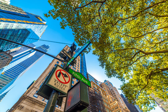 West 42nd Street and Fifth Avenue street signs viewed from below in Manhattan