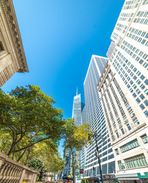 New York skyscrapers and trees under a blue sky
