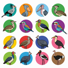 Obraz premium Cute cartoon bird character icon set in colorful circles