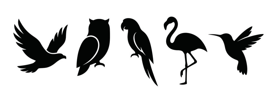 Variety of bird silhouettes including a raven owl parrot flamingo and hummingbird