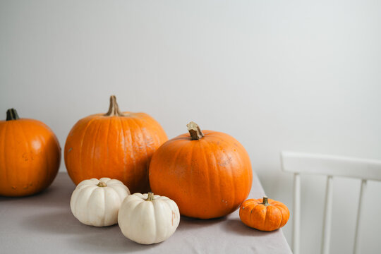 Autumn pumpkin arrangement with orange and white pumpkins on a dining table, minimalist seasonal home decoration with copy space for Halloween, Thanksgiving
