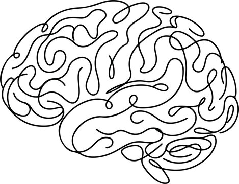 Human brain continuous one line drawing minimalist vector art