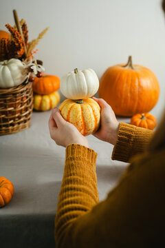 Woman holding small squashes, orange and white pumpkins, cozy seasonal lifestyle scene for Halloween, Thanksgiving and fall concepts