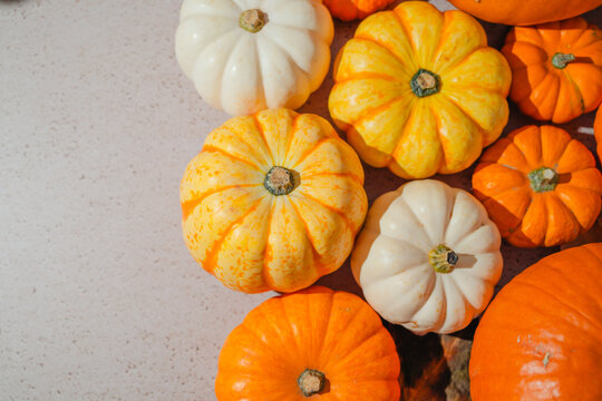 Colorful autumn pumpkin and squash background, orange and white pumpkins with natural shadows, seasonal fall food background for Halloween and Thanksgiving