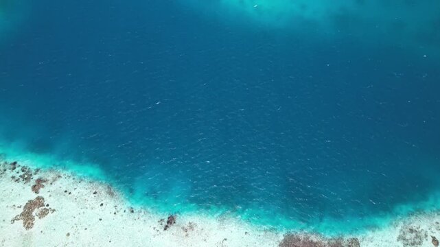 Aerial view of Los Roques archipelago coral reef showing vibrant turquoise waters and intricate seabed patterns in Los Roques, Dependencias Federale, Venezuela.