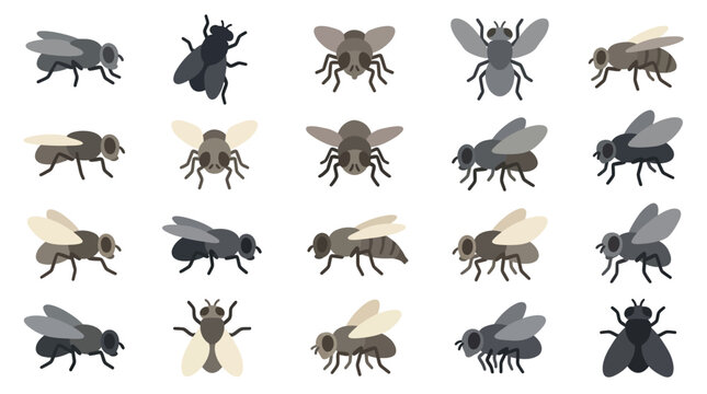 Set of various housefly icons in flat vector style for design projects.