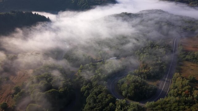 Aerial dolly backward reveals a winding road and forest beneath drifting mist in Romania.