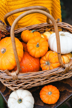 Colorful autumn pumpkin and squash harvest arranged in a rustic wicker basket with knitted blanket, seasonal Halloween and Thanksgiving decoration for fall food, home and lifestyle concepts