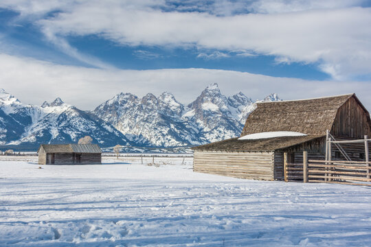 View of historic wooden barns in a snowy field at Jackson Hole with the Teton Range mountains in the background in Teton County, Wyoming, United States.