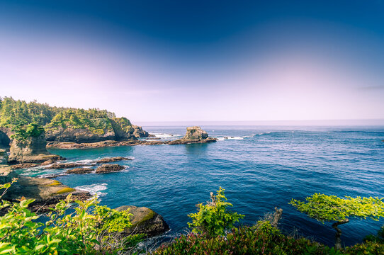 View of the rugged coastline and rocky cliffs of Olympic National Park with lush green vegetation and deep blue ocean waters in Port Angeles, Washington, United States.