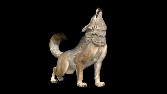 Cartoon White Wolf Running