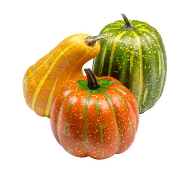 Colorful pumpkins and squash arranged together on a white background during the fall season