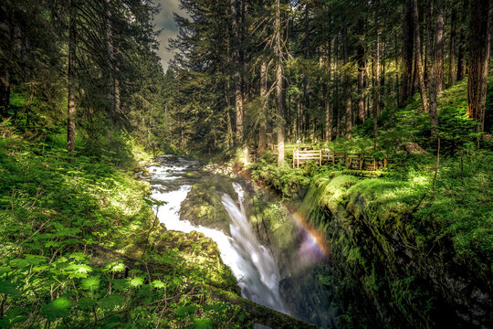 View of Sol Duc Falls in Olympic National Park with cascading water, a vibrant rainbow, moss-covered rocks, and dense temperate rainforest in Port Angeles, Washington, United States.