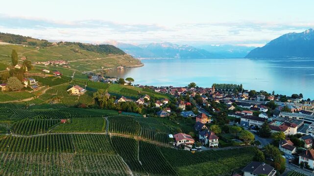 Aerial view of vineyards in Cully overlooking Lake Geneva with mountains in the background in Bourg-en-Lavaux, Vaud, Switzerland.