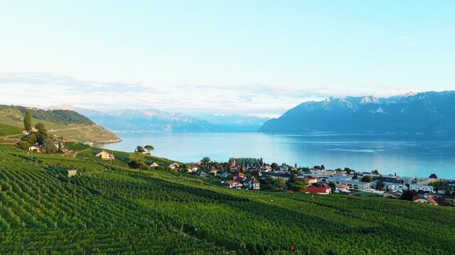 Aerial view of the terraced vineyards of Cully overlooking Lake Geneva with the Alps in the background in Bourg-en-Lavaux, Vaud, Switzerland.