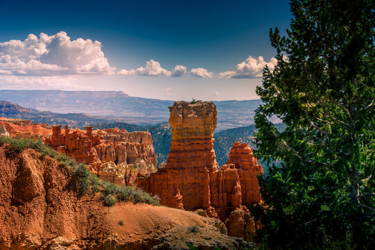View of Bryce Canyon National Park featuring iconic red rock hoodoos, a pine tree in the foreground, and distant mountains under a blue sky in Utah, United States.