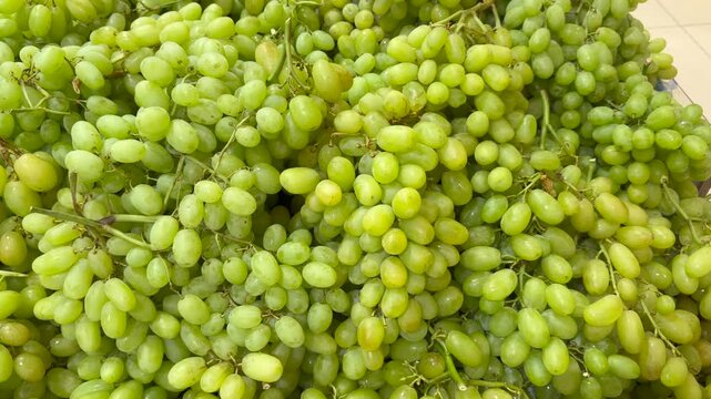 Fresh green grapes are piled high in market crates, their small oval fruit and branching stems forming dense display. Abundant harvest offers appealing produce for shoppers and meals.