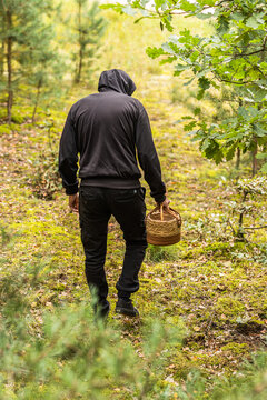 Hooded person carrying a woven basket while walking through a sunlit leafy woodland with mossy ground and autumn foliage, rear view nature scene