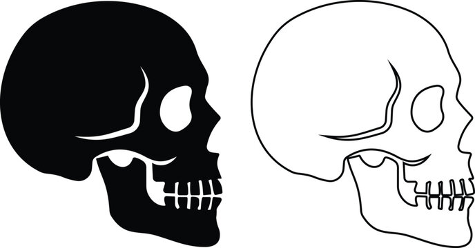 Human skull crossbones head bone icon set collection in black flat and line style editable halloween danger death elements group isolated on transparent background vector symbol