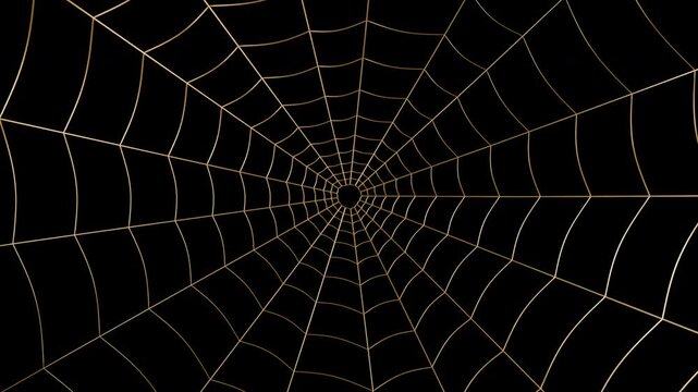 Polished golden spider web in a looping 3D animation, isolated on a transparent background. Reflective metallic cobweb design in 4K.