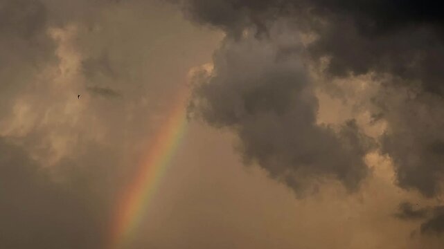 Vibrant rainbow fragment cutting through storm clouds during a dramatic evening dusk hour as small birds fly across the sky, capturing hope, serene nature moments, and weather transience.