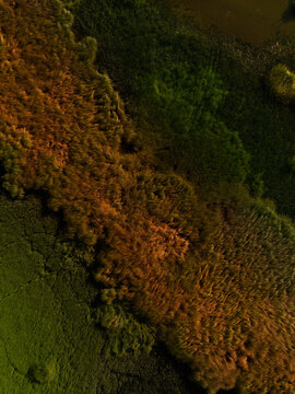 Textures - Lac du Moulinet - Loz&egrave;re 