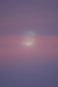 Lune des moissons lumineuse qui se d&eacute;coupe dans un ciel aux nuances roses et violettes du cr&eacute;puscule, voil&eacute;e par de fins nuages et encadr&eacute;e par la silhouette floue de la v&eacute;g&eacute;tation.   