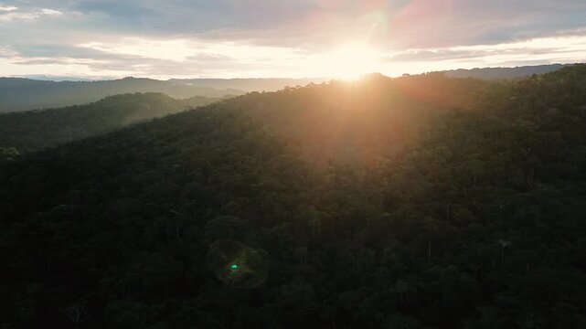 Drone camera advances above tropical rainforest toward a low sun. Warm atmospheric light and glowing haze create a peaceful wilderness scene associated with nature, travel and conservation.
