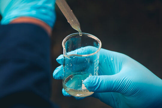 Water quality professionals examining river samples for pollutants and harmful chemical substances.