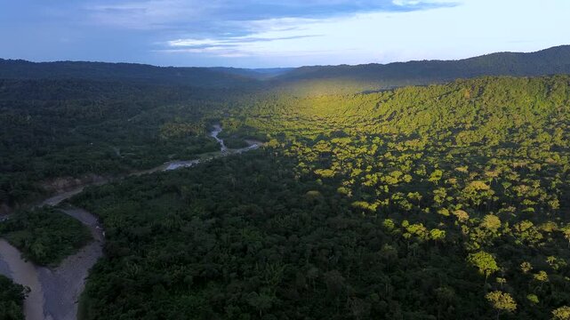 Aerial view across a vast tropical rainforest where a winding river passes between forested hills. Golden sunlight illuminates part of the canopy, highlighting wilderness, biodiversity and freshwater 