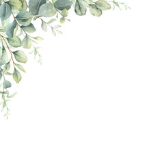 Eucalyptus branch corner frame illustration with soft green leaves on white background PNG © Creative Iocns