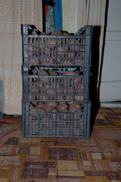 Freshly harvested potatoes stored in black plastic crates indoors, representing homegrown agriculture and seasonal food storage