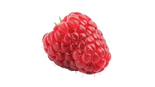 Single fresh ripe red raspberry isolated on transparent background