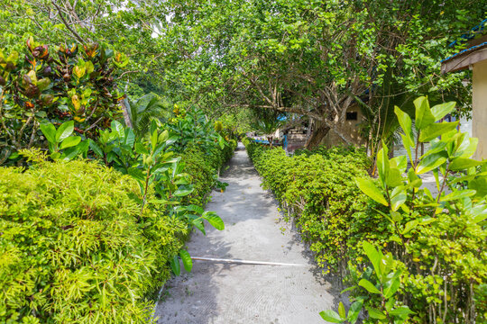 The small road on the island