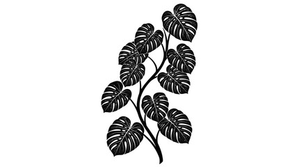 Monstera Deliciosa Tropical Plant Leaf © Mas