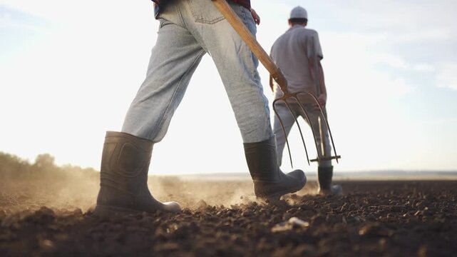 Farmer walk ground pitchforks. Two men work in a field, cultivating the soil with a pitchfork. The men are engaged in farm activities, focusing on the land under the setting sun.