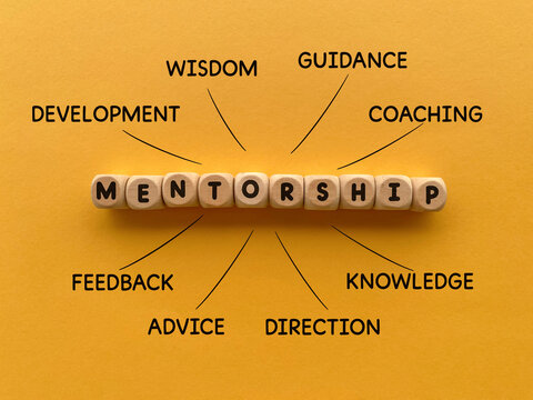 Mentorship Coaching Guidance and Professional Development