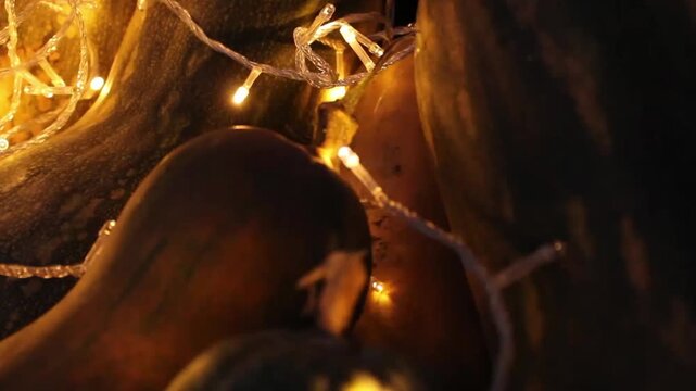 Pumpkins decorated with warm fairy lights create a cozy and festive autumn atmosphere. decorated for Halloween