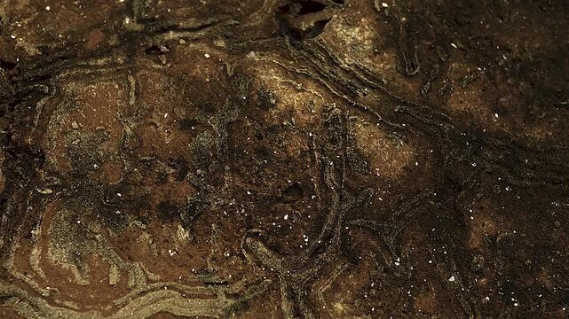 A dilapidated brick arch stained with moss and grime; the play of soft shadows across its masonry and a surface texture weathered by the elements and nature. 4K