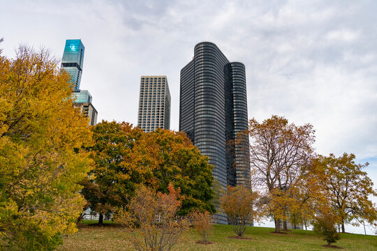 Park autumn tree and promenade. Scenic fall alley. Grans park in autumn. Autumn promenade path with skyscraper. Fall nature landscape. Autumn nature in city grand park. Seasonal fall landscape