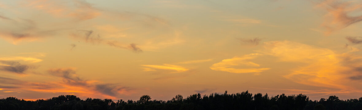 Pano of orange summer sunset above a silhouette forest of trees
