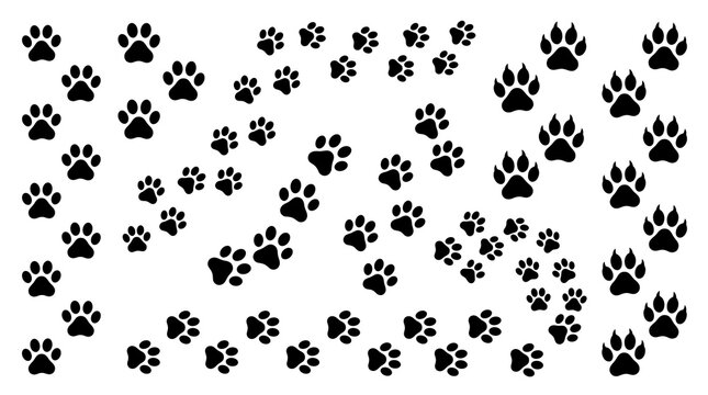 Animal Paw Trail Vector Pattern Featuring Cat and Dog Footprints, Walking Tracks, Pet Traces, Wildlife Marks and Isolated Silhouettes
