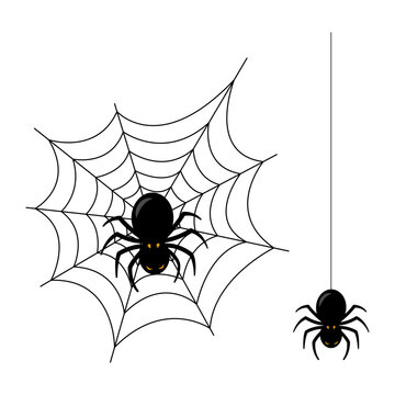 Vector illustration of Spiders with Spider Webs on transparent background