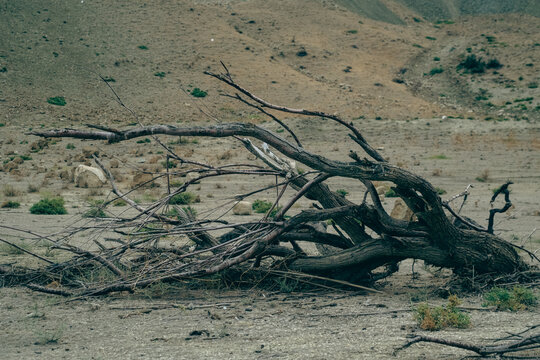 abtrocknen, beschaffenheit, baugrund, w&uuml;ste, boden, geknackt, welt, d&uuml;rre, natur, erdboden, schlamm, crack, dekor, abstrakt, dirt, clay, arid, wand, fl&auml;chen, aufl&ouml;sungszeichen, rau, braun, umwelt, lan