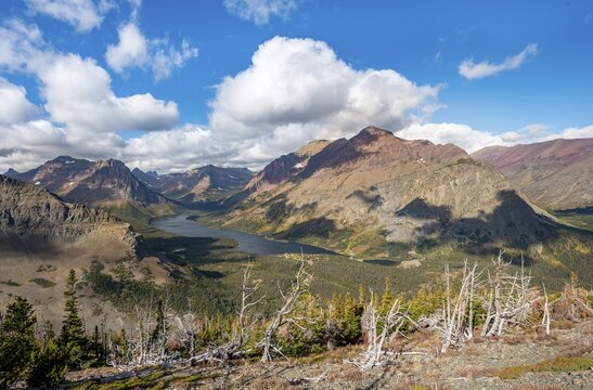 View of Two Medicine Lake with dead trees, hiking trail to Scenic Point, Glacier National Park, Montana, USA