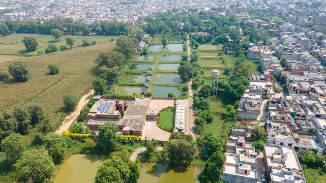Aerial view of a fishing farm with multiple rectangular ponds, solar panels, and a building complex surrounded by green fields and urban residential areas in Punjab, Pakistan.